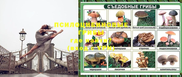 кокс Нефтекумск