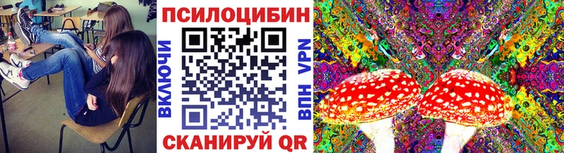 Купить закладки  Амурск  Псилоцибиновые грибы мицелий 